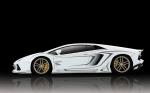 Lamborghini Aventador LP700-4 by Rowen Japan 2015 года